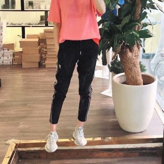 Quần Adidas authentic