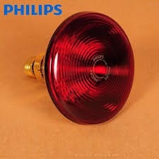 💥BÓNG ĐÈN HỒNG NGOẠI PHILIPS 150W💥 - Ba Lan