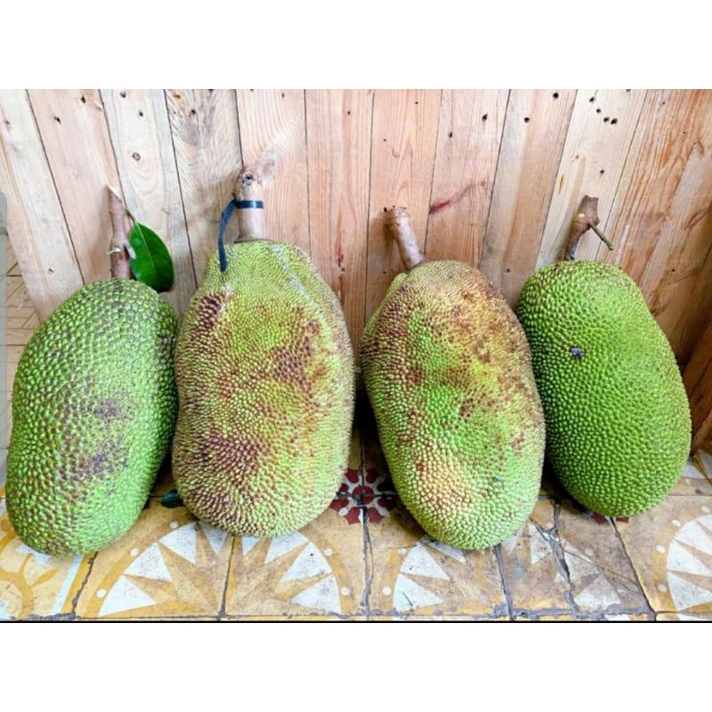 (Giao hỏa tốc) Mít thái quê 25k/kg | BigBuy360 - bigbuy360.vn