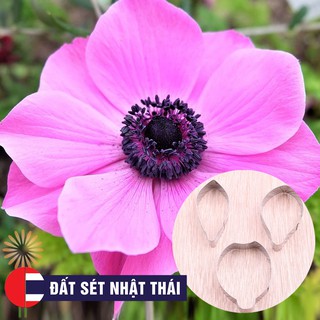 KHUÔN HOA ĐẤT SÉT LÀM HOA THU MÂU ĐƠN ANEMONE - KHUÔN CẮT HOA ĐƯỜNG, XÔI HOA ĐẬU