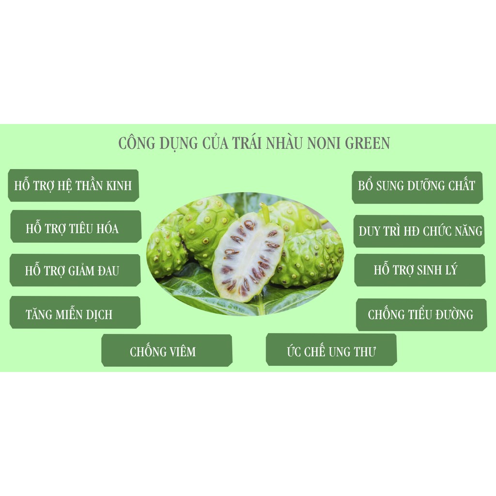 1 kg Quả nhàu / Trái nhàu khô Noni Green - dùng ngâm rượu hoặc sắc nước | BigBuy360 - bigbuy360.vn