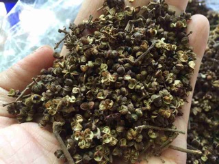 Hạt mắc khén (tiêu rừng) tây bắc 20.000 cho 100 gram