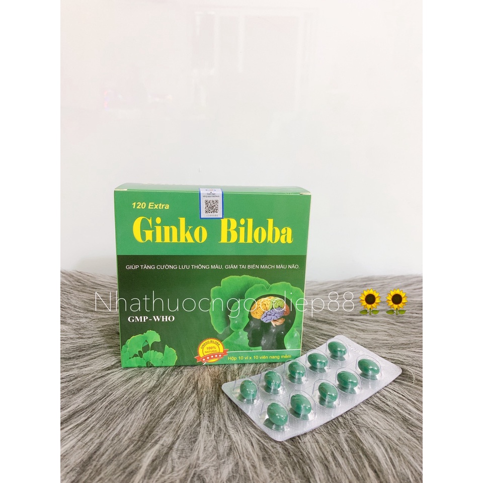 Viên Ginko Biloba bổ não 120mg - Hỗ trợ tăng cường lưu thống máu, tăng lưu lượng tuần hoàn máu não(hộp 100 viên)