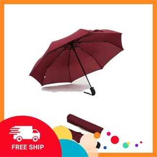 Combo sỉ 10 ô dù tự động xuất nhật