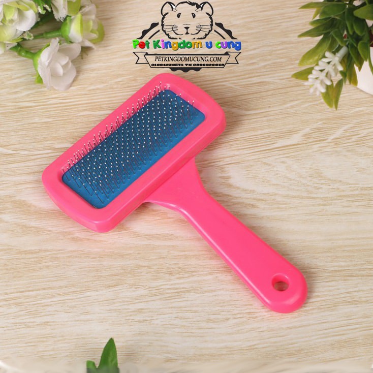 Lược chải lông cho pet