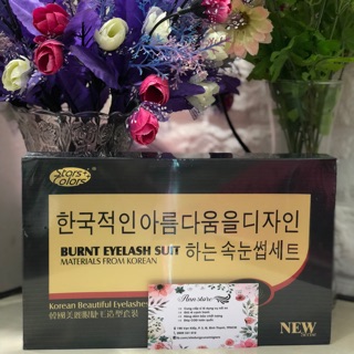 Set uốn mi collagen Hàn