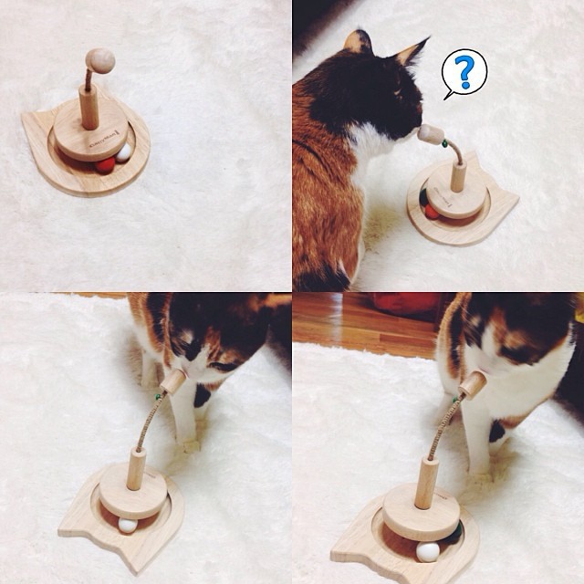 Đồ chơi đĩa bay gỗ CattyMan cho mèo cưng - 84157