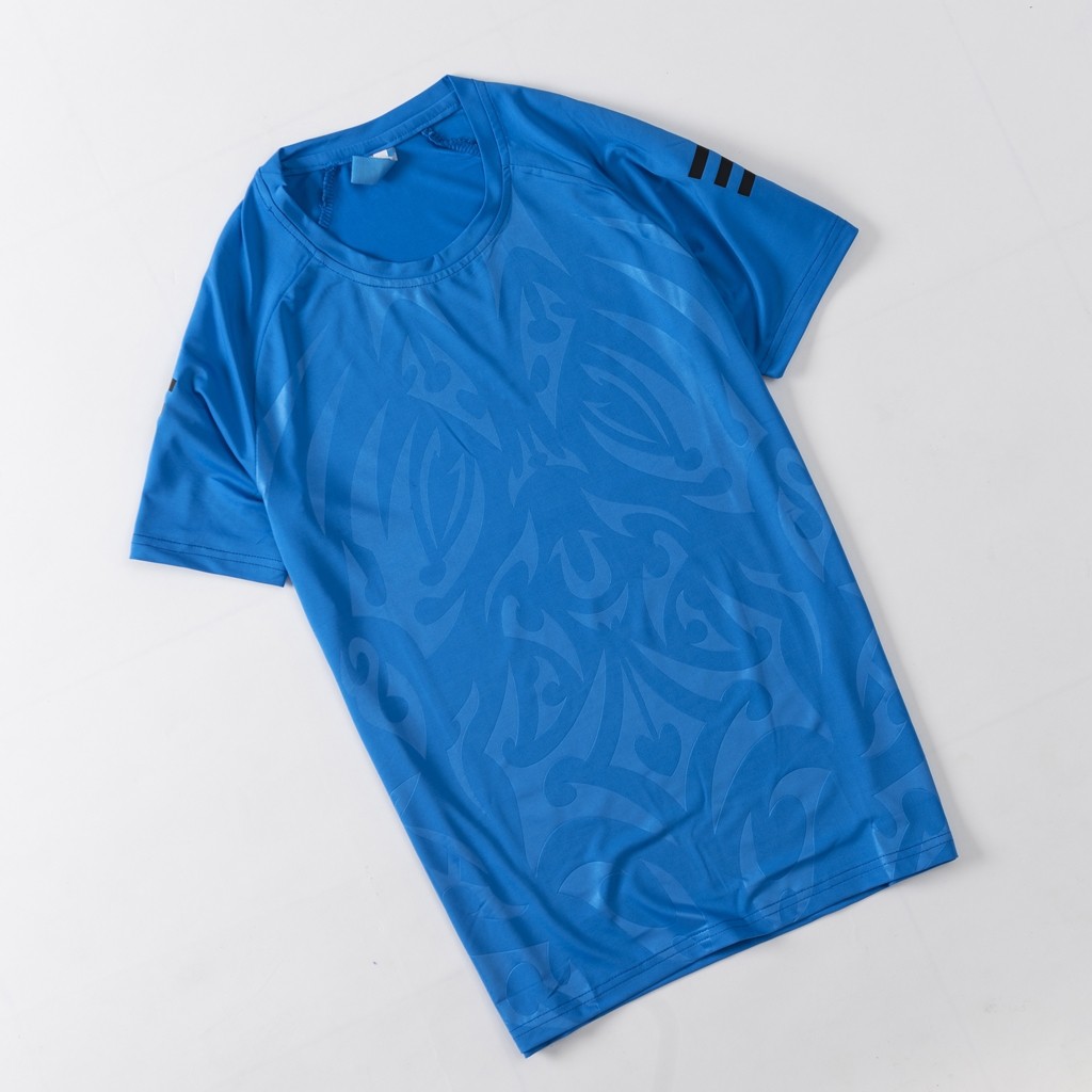 Áo thể thao nam chất vải thun lạnh, Mã A20 | BigBuy360 - bigbuy360.vn