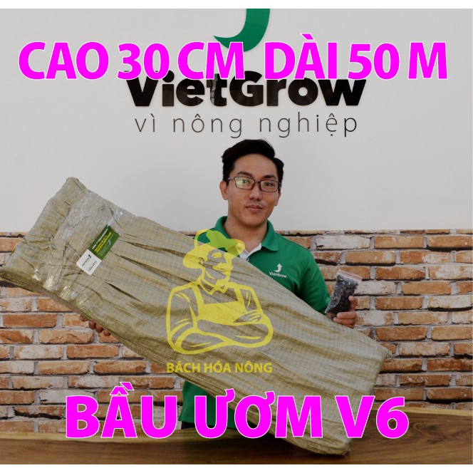 Bầu ươm V6 TIÊU CHUẨN cao 30cm dài 50m. Chậu trồng cây có lỗ thoáng khí dày 1.0 mm - kèm đinh ốc