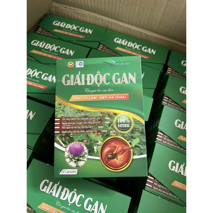 Giải độc gan CÀ GAI LEO XẠ ĐEN giảo cổ lam Bổ gan cà gai leo giúp mát gan,hạ men gan,tăng cường chức năng gan