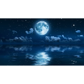 Tranh 3D bể cá (kt 50,60,70,80,90,100,110,120 )