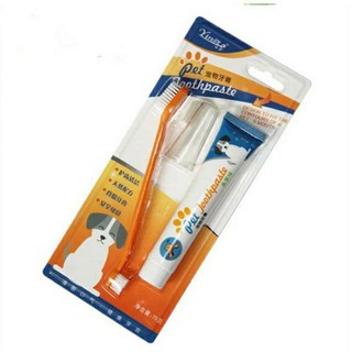 Bộ bàn chải và kem đánh răng cho chó mèo
