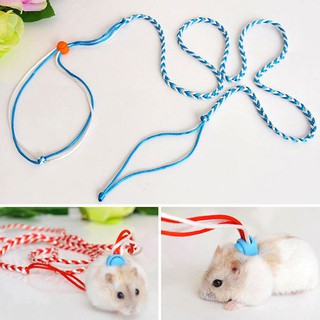 Dây dắt cho hamster