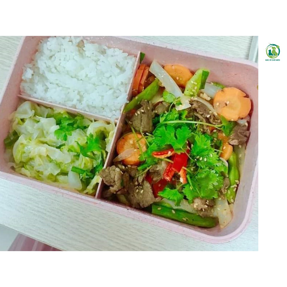[HÌNH THẬT] Hộp cơm Văn Phòng Bento Hàn Quốc xinh xắn cam kết 100% y hình