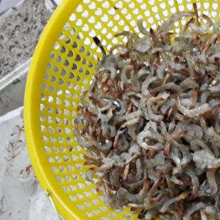 Tôm Đất lụi đặc biệt