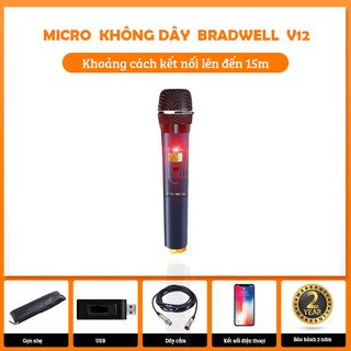 Micro không dây BRADWELL V2 BH 2 năm