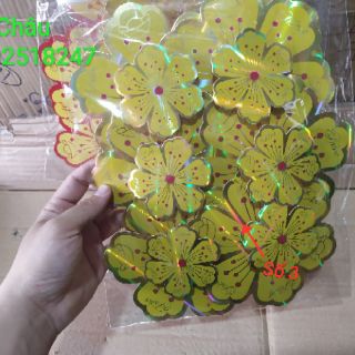 Bông mai dán cửa kính