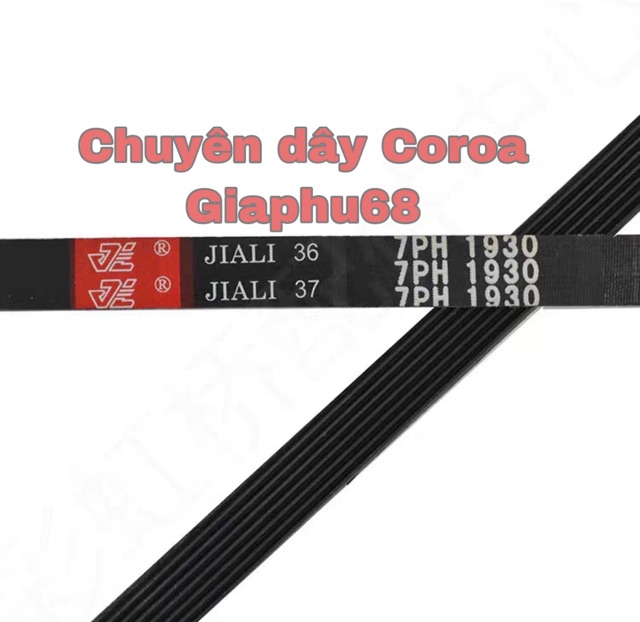 Dây curoa 7PH 1930 máy sấy Electrolux