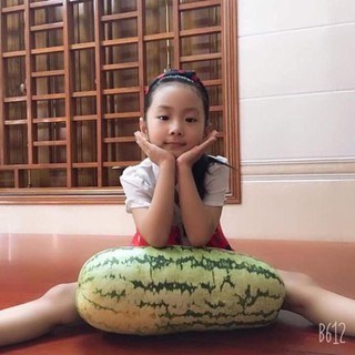 [Siêu khuyến mại] Hạt giống dưa hấu khổng lồ chiatai Thái lan