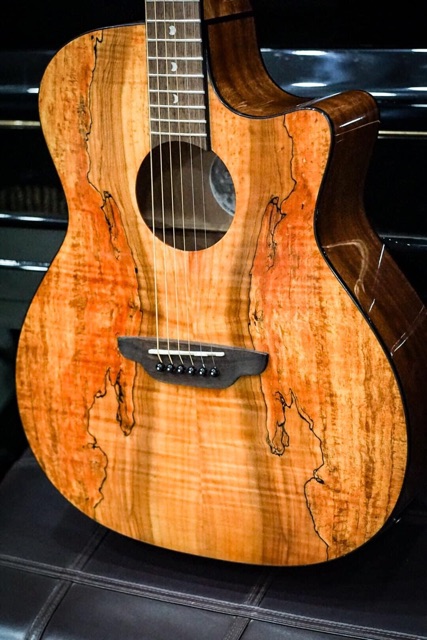 Guitar Acoustic LUNA GYPSY E GC