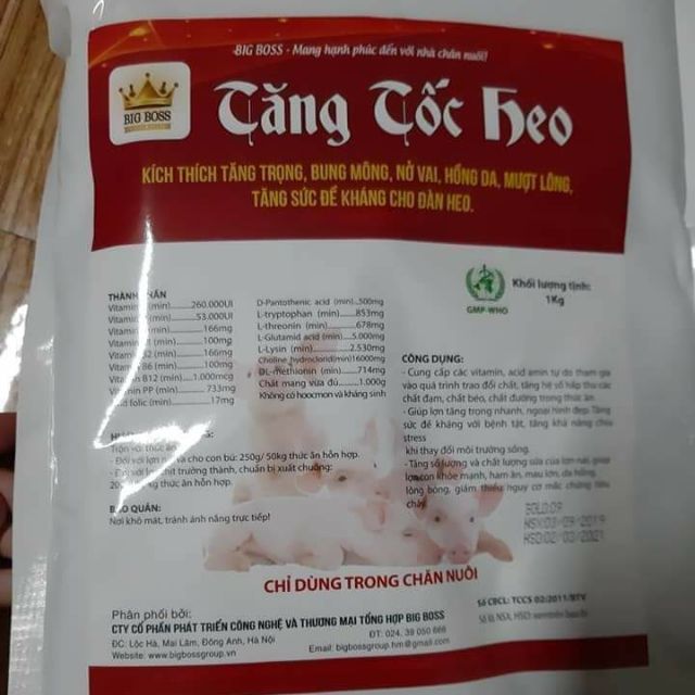 Tăng tốc heo.