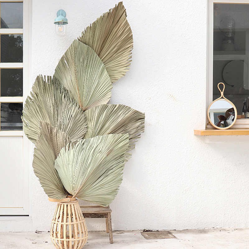 Lá cọ khô decor trang trí xinh