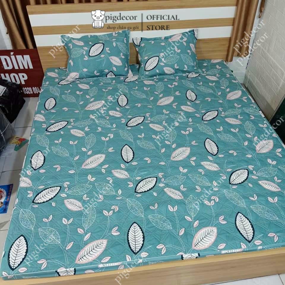 Ga trải giường trần bông 3 lớp cotton poly,Drap trải giường kích thước 1m6,1m8 được chọn mẫu trong bài đăng