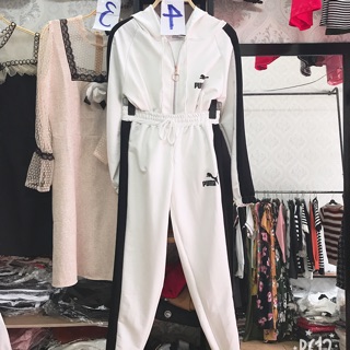 Set puma
