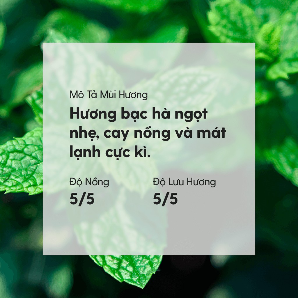 Tinh Dầu Bạc Hà (The Lạnh) Organic Thiên Nhiên Nguyên Chất Đậm Đặc Xông Thơm Phòng, Làm Nến Thơm HENY GARDEN