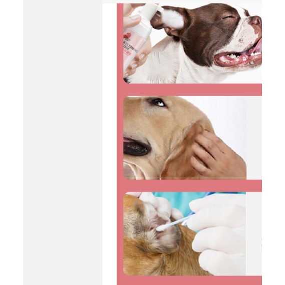 Dung Dịch Vệ Sinh Tai Dạng Bọt Cho Chó Mèo Smooth 200ml