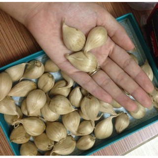 Củ Hoa Diên Vĩ Iris