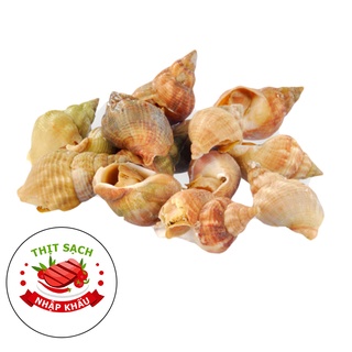 1kg ốc bulot pháp cực thơm ngon, đảm bảo chất lượng