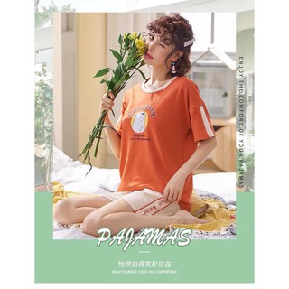 BỘ GẤU BẮC CỰC - MÀU MỚI
