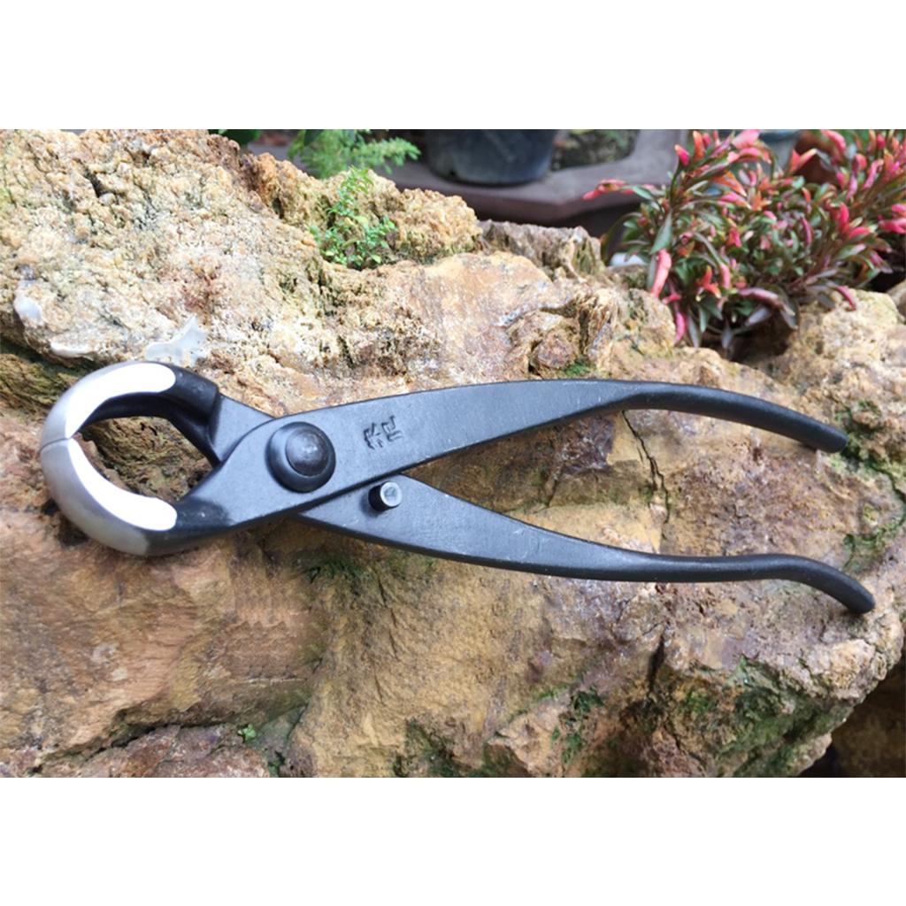 Kìm cạp cây cảnh bonsai đầu tròn Nhật Bản 21 cm thép siêu bền