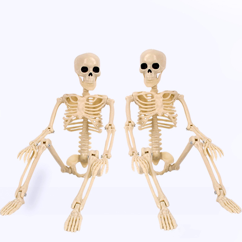 Ga-skeleton Mô Hình Bộ Xương Nhựa Có Thể Di Chuyển Trang Trí Cảnh Quan Halloween