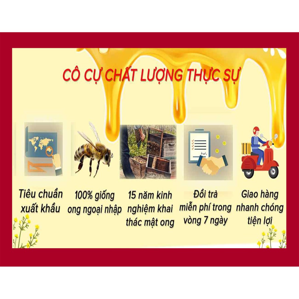 Mật ong nguyên chất Hoa Tràm CÔ CỰ 1000ml 2 chai thủy tinh 500ml, cam kết chất lượng