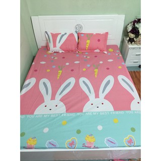 Bộ ga gối cotton poly chun m8