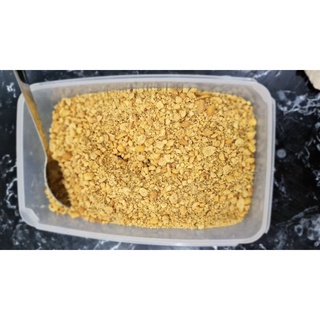 Lạc Đỏ Thái Bình - Lạc đỏ nhà trồng