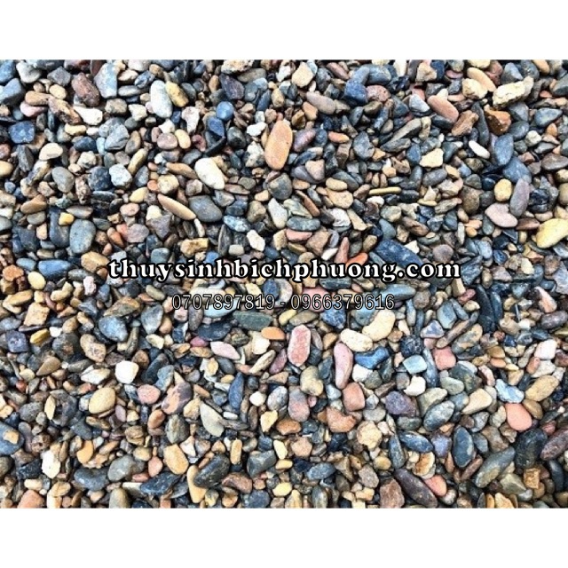 SẠN SUỐI 7 MÀU - SỎI SUỐI THIÊN NHIÊN - TRANG TRÍ TRẢI NỀN ĐƯỜNG ĐI BỐ CỤC SIÊU ĐẸP