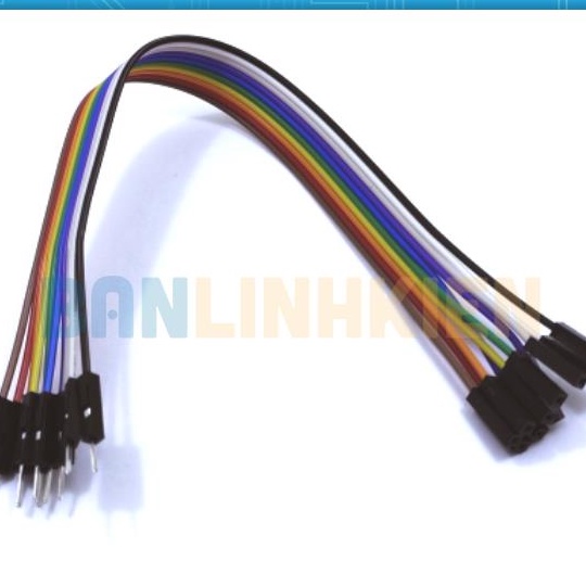 Dây 40P 20CM Đ-C (Hai Đầu Đực Cái) (10 Sợi)