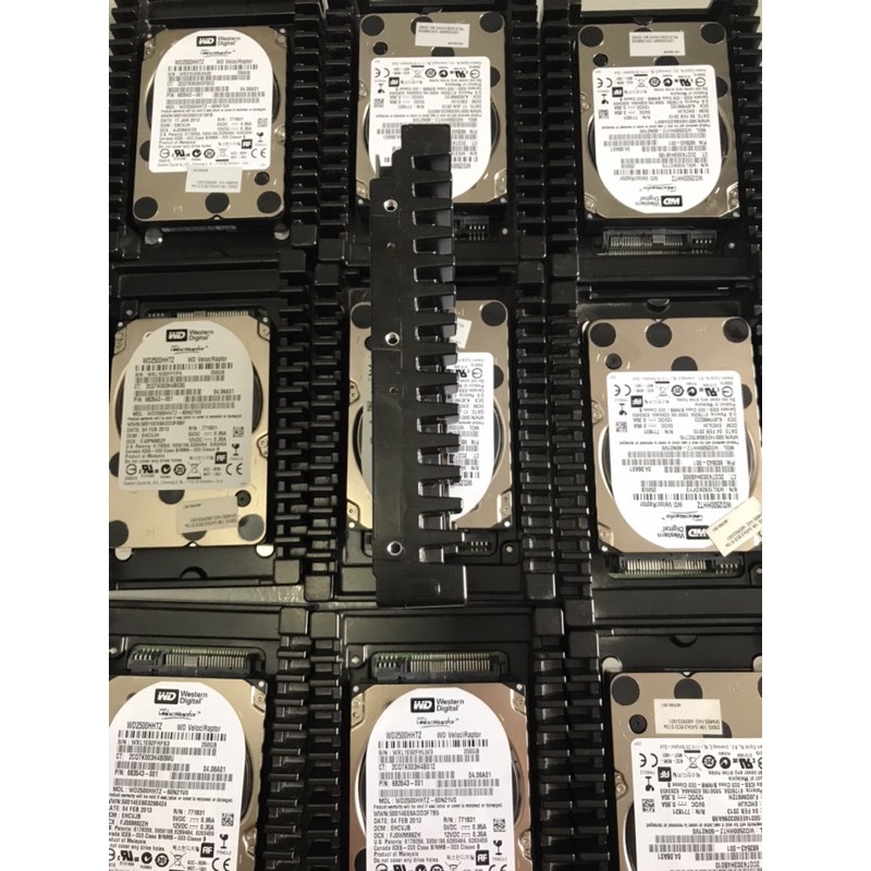 Ổ Cứng Hdd Wd Velociraptor 250gb Sata 10000rpm | BigBuy360 - bigbuy360.vn