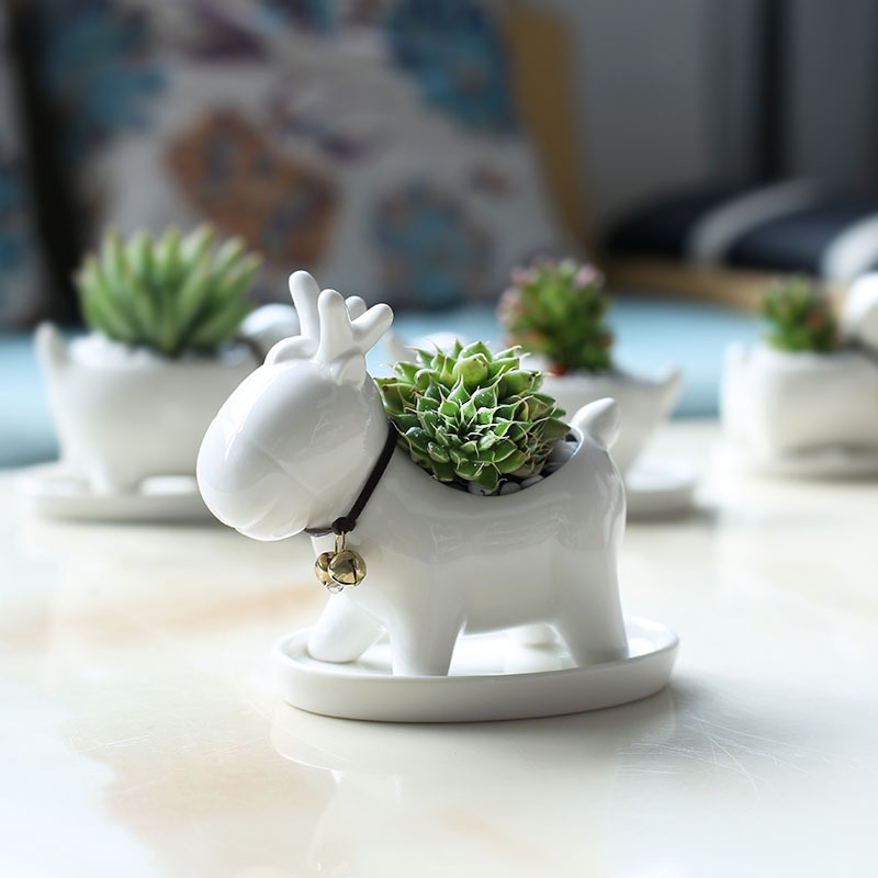 Chậu Trồng Cây Sen Đá, Xương Rồng Cây Mini Tuần Lộc Có Khay Lỗ Thoát Nước