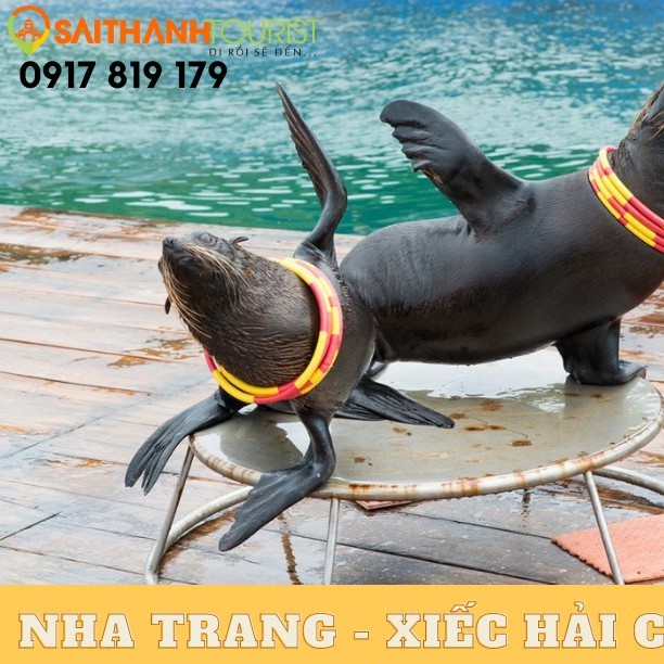 HCM[ voucher giấy] TOUR TẾT NHA TRANG - HÒN SỎI - XIẾC HẢI CẨU