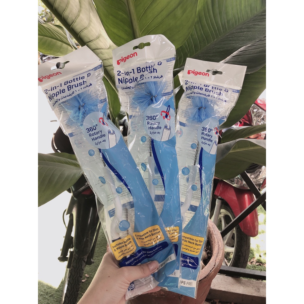 Cây Súc Bình Sữa,Cọ Rữa Bình sữa Pigeon