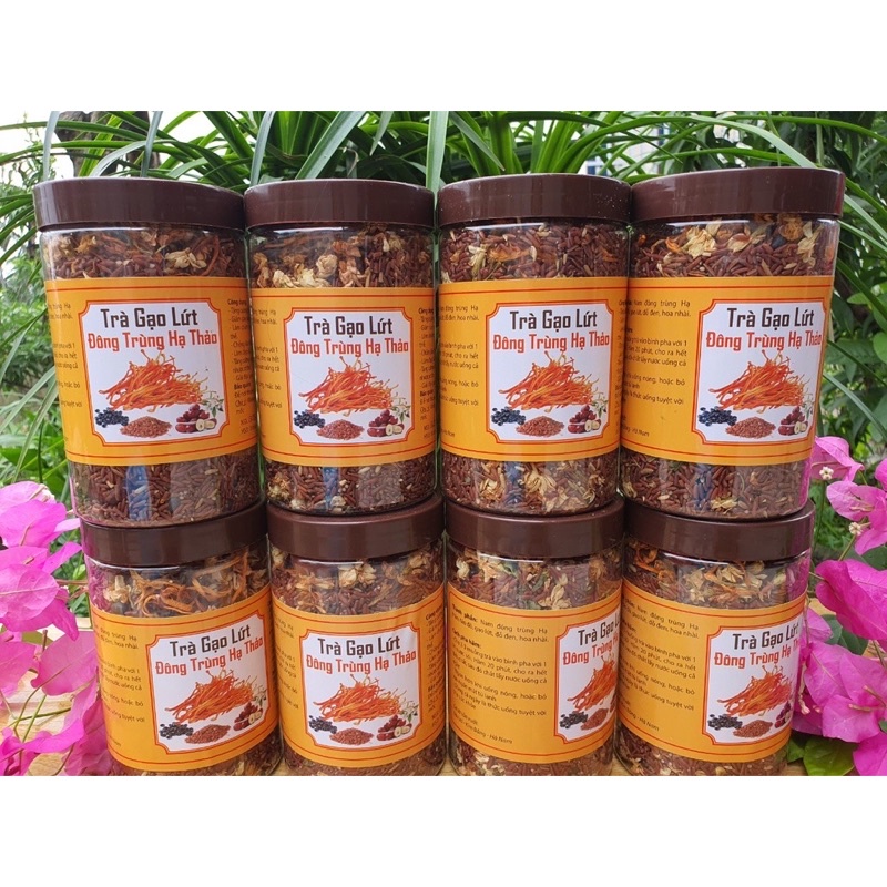 Đông trùng hạ thảo, gạo lứt hộp 500g