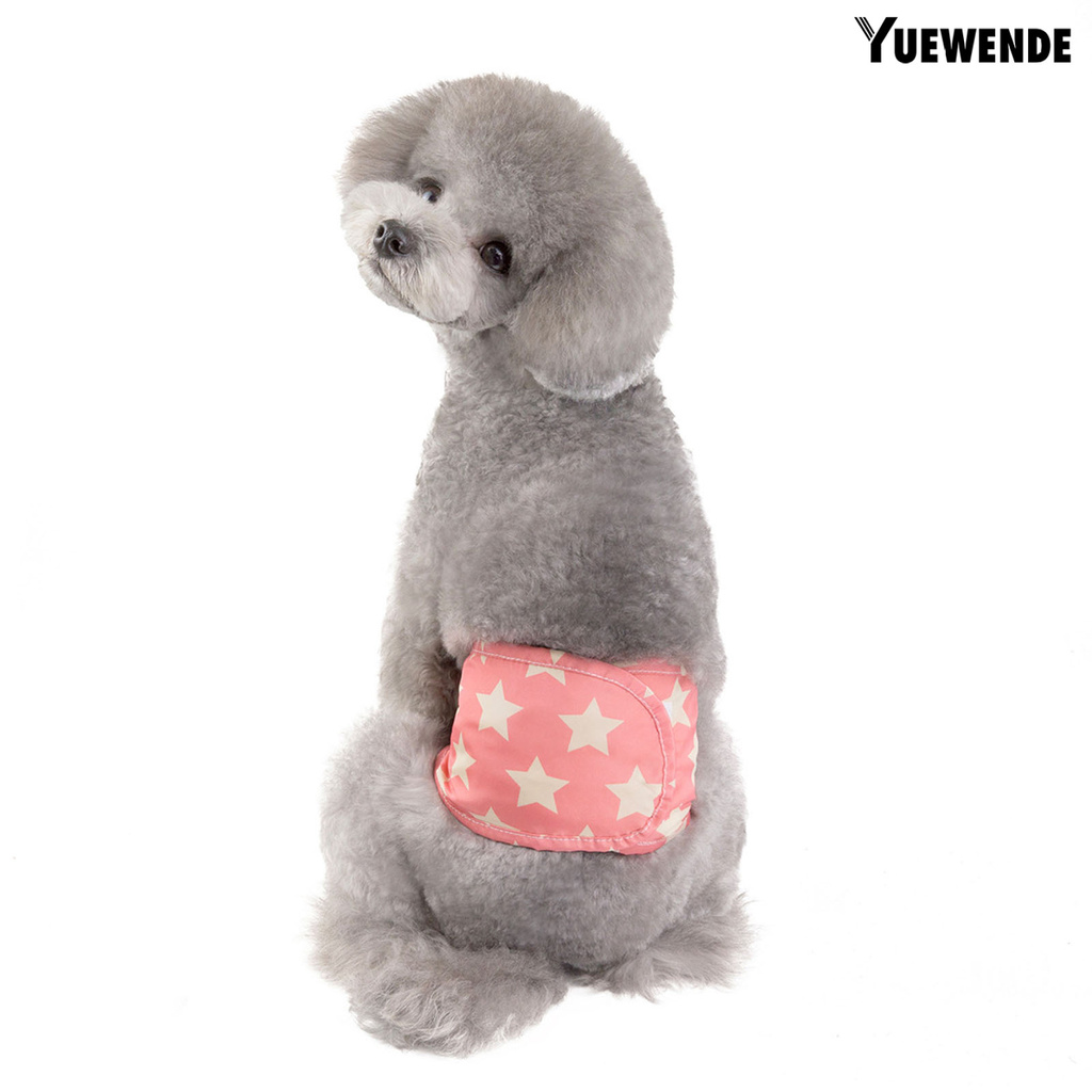 (Hàng Mới Về) Quần Sinh Lý Thời Trang Cho Thú Cưng