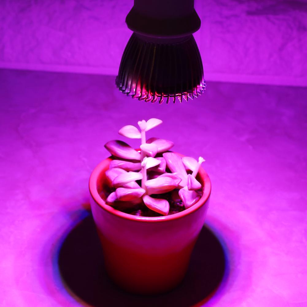 Bóng đèn LED quang phổ toàn phần trồng cây