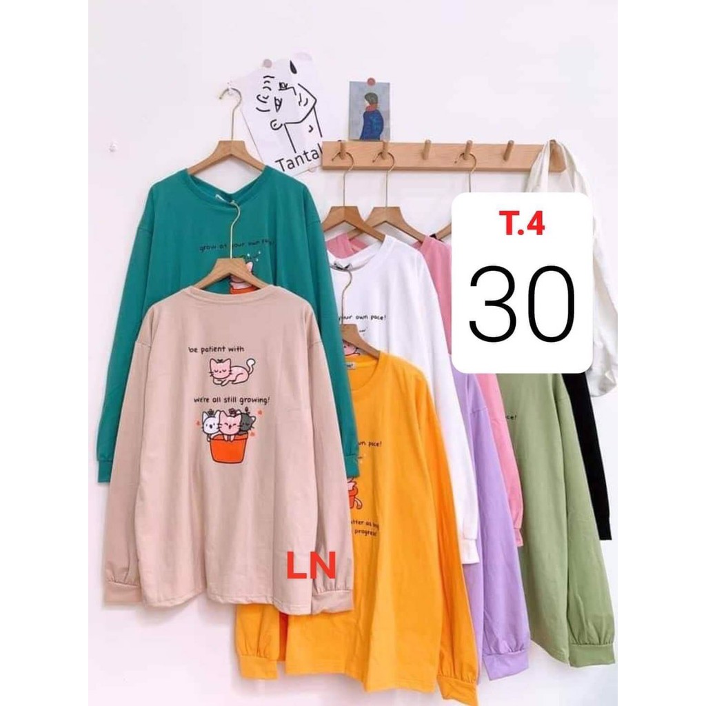 Áo bo tay mèo và 3 chú mèo