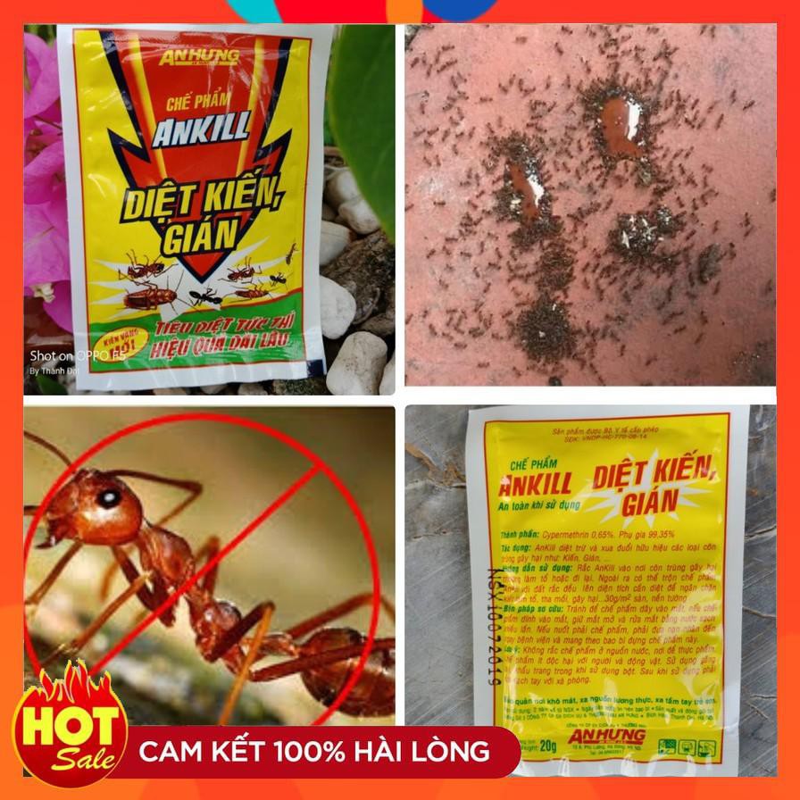 Chế phẩm diệt kiến gián Ankill (20gr)