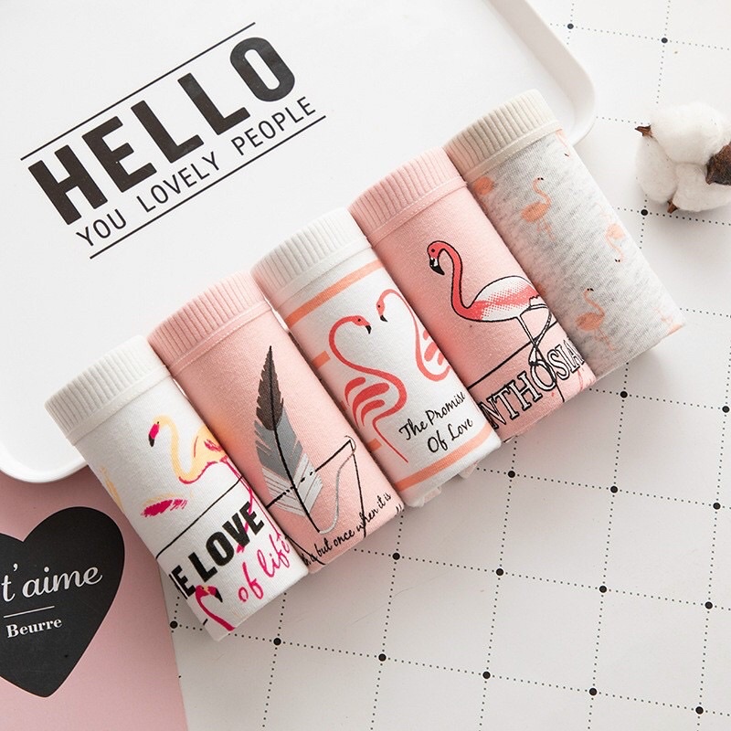 Combo 10c Quần cotton kute hình Hạc Hồng mã 0749#